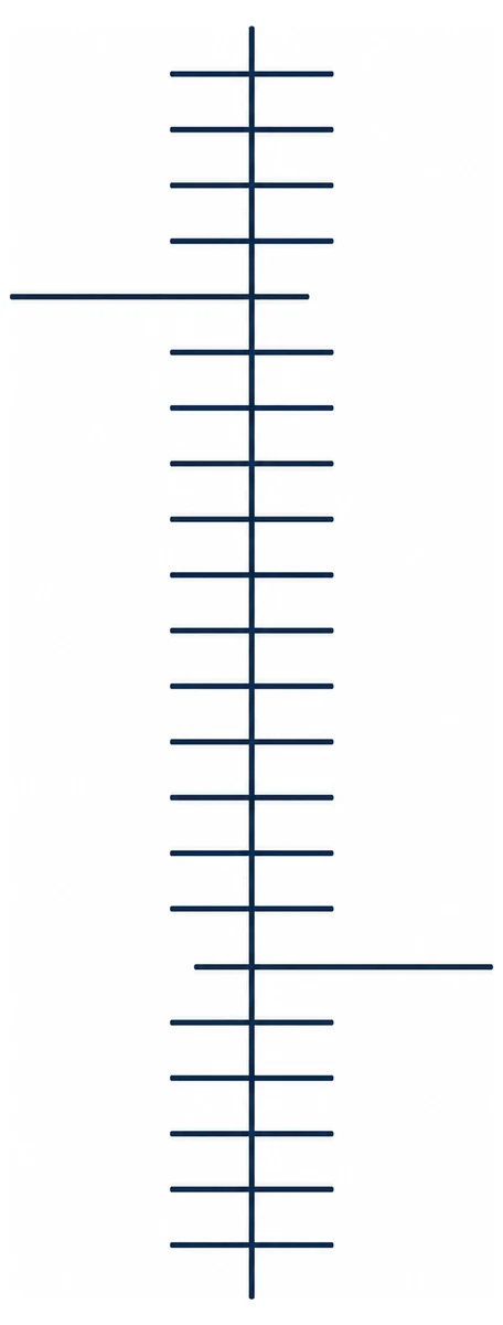 A symmetrical heat-reading pattern down a spine, with bars roughly equal on both sides at most levels and noticeably longer on one side at two levels.